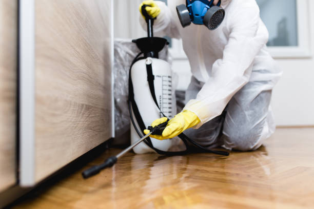 Trusted University Gardens, NY Pest Control Experts