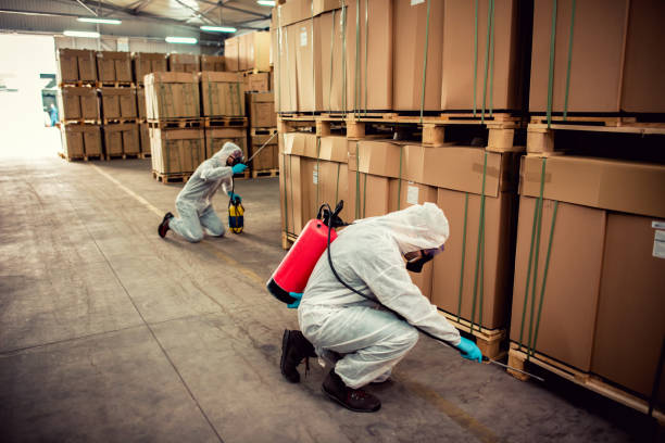 Best Pest Inspection Near Me  in University Gardens, NY
