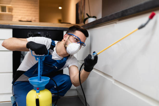 Best Flea Control Services  in University Gardens, NY