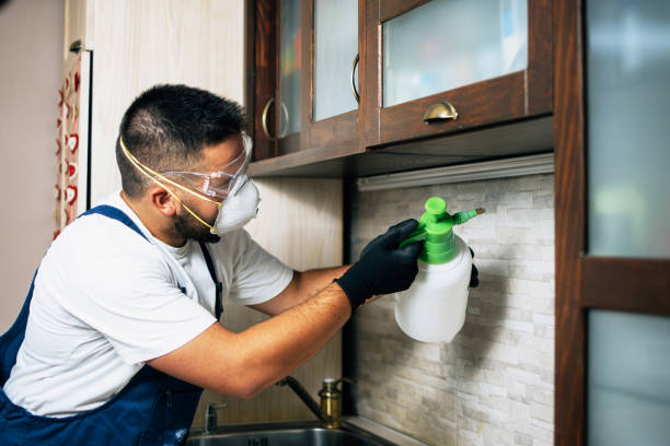 Best Exterminator Services  in University Gardens, NY