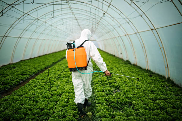 Best Best Pest Control Companies  in University Gardens, NY