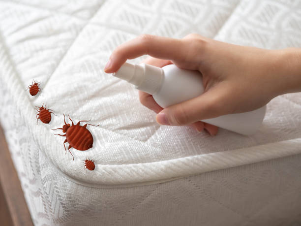 Best Local Pest Control Services  in University Gardens, NY